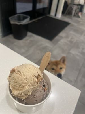Sweet Scoops Homemade Ice Cream by null