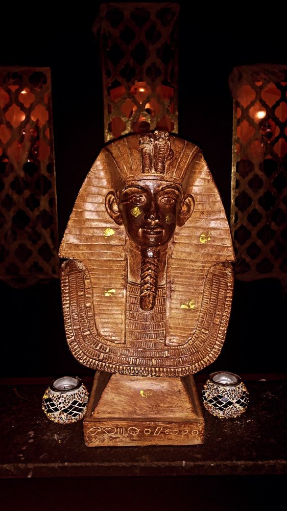 ARABIAN NIGHTS HOOKAH LOUNGE 38 Photos & 88 Reviews 1224 N Roselle