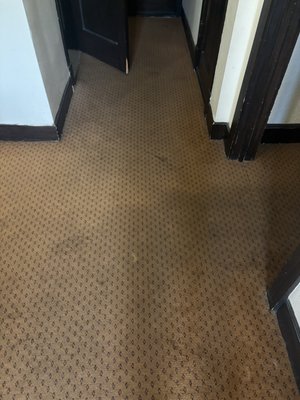 The Holland Hotel by null