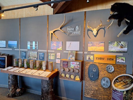 Cape Perpetua Visitor Center - Siuslaw National Forest by null