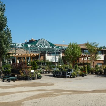 Harmony Gardens - A SiteOne Company - A bit pricey but quite a good selection. Staff vary from super helpful to completely disinterested. - Landscaping Near Me - Brighton, Colorado Harmony Gardens - A SiteOne Company - A bit pricey but quite a good selection. Staff vary from super helpful to completely disinterested. - Landscaping Near Me - Brighton, Colorado