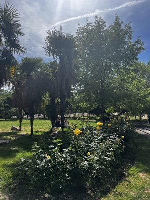 Campo del Moro by null