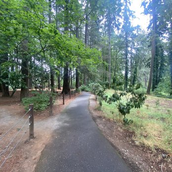 Lacamas Park - The path walking into the park from the parking lot. - Parks Near Me - Camas, Washington