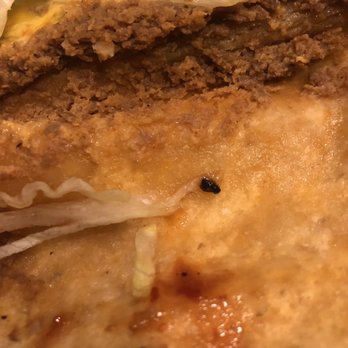 Jack in the Box - A Fly Taco - Fast Food Near Me - Las Vegas, Nevada Jack in the Box - A Fly Taco - Fast Food Near Me - Las Vegas, Nevada