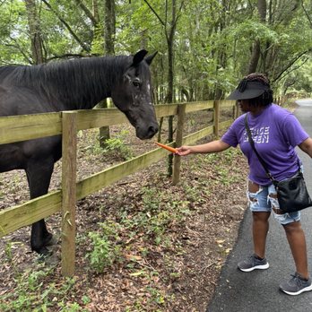 Mill Creek Farm - Animal Shelters Near Me - Alachua, Florida Mill Creek Farm - Animal Shelters Near Me - Alachua, Florida