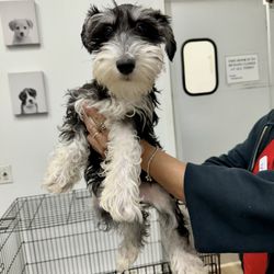 Beverly's Pet Center