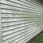 Tsunami Pressure Washing
