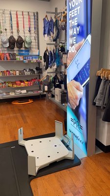 Potomac River Running