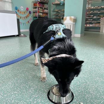 Salty Paws - Pet Stores Near Me - Milwaukee, Wisconsin