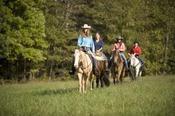 Shangrila Guest Ranch