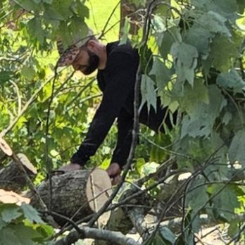 Precision Cutz Tree Services - Tree Services Near Me - Coeburn, Virginia Precision Cutz Tree Services - Tree Services Near Me - Coeburn, Virginia