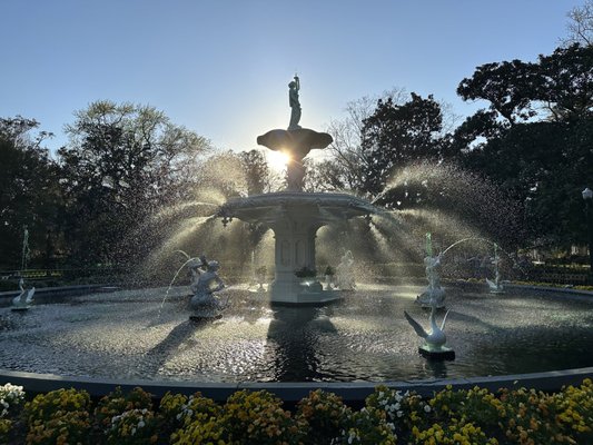Forsyth Park by null