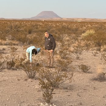 StarStruck Glamping - Fossil hunting outside the dome - Vacation Rentals Near Me StarStruck Glamping - Fossil hunting outside the dome - Vacation Rentals Near Me