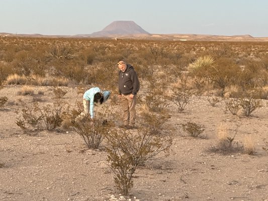 StarStruck Glamping by null