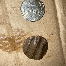 The cardboard like thing I bit into, about the size of a quarter) The cardboard like thing I bit into, about the size of a quarter)