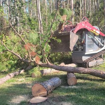Nugent's Pro Tree Care - Tree Services Near Me Nugent's Pro Tree Care - Tree Services Near Me