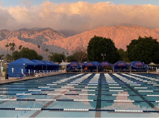 ELITE OTTERS SWIM TEAM - 32 Photos - 405 S Pavilion Way, Palm Springs