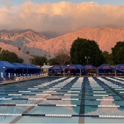 Elite Otters Swim Team - Palm Springs Swim Center