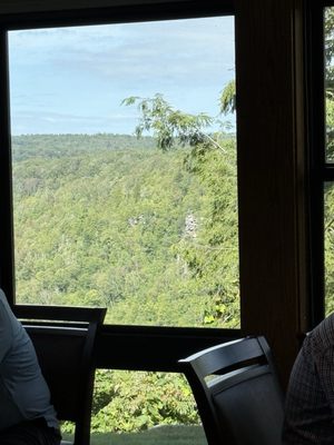 Blackwater Falls State Park by null