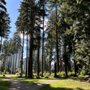Photo of Glen Park
