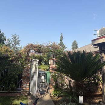 Adolph's A-1 Tree Service A Partnership - After - Tree Services Near Me - Fresno, California