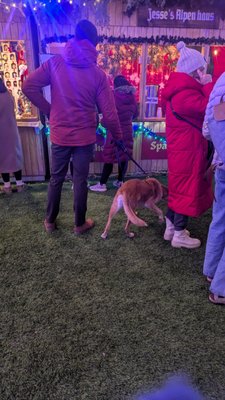 Minneapolis Christkindl Market by null