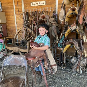 A1 Horse Programs - Carrying the saddle because he can! - Horseback Riding Near Me - Middletown, California A1 Horse Programs - Carrying the saddle because he can! - Horseback Riding Near Me - Middletown, California
