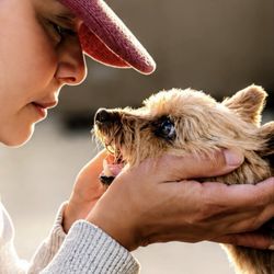 The Animal Wellness Center - My baby Chappi