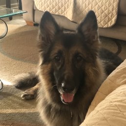 After his spa day.