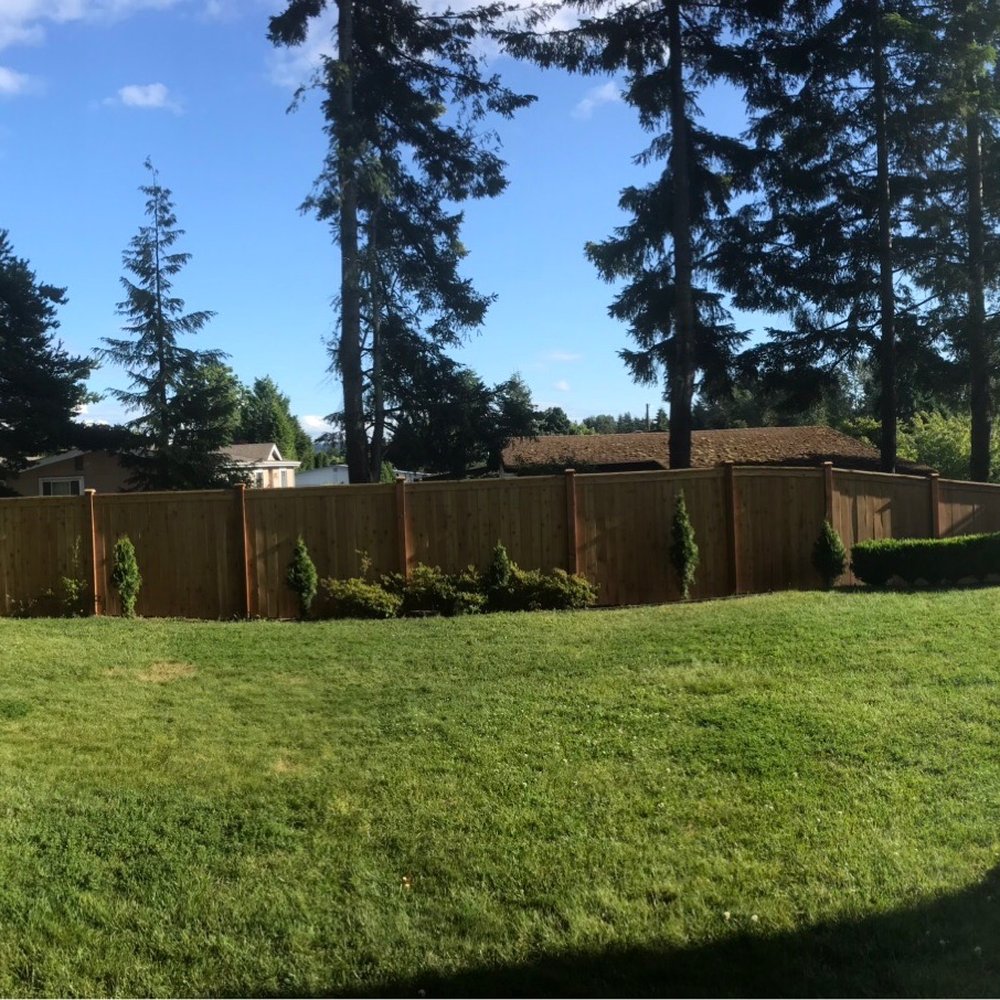 Backyard fence.