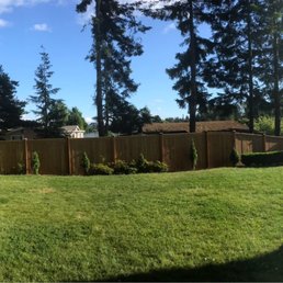 Backyard fence. Backyard fence.