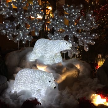 Mystic Falls Park - Cute polar bears - Performing Arts Near Me - Las Vegas, Nevada
