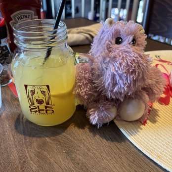 Ole Red - Hi from Haze! - Bars Near Me - Nashville, Tennessee Ole Red - Hi from Haze! - Bars Near Me - Nashville, Tennessee