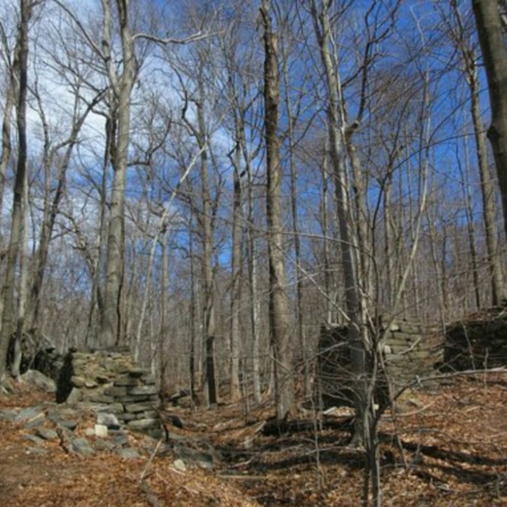 Saxon Woods Park - Parks Near Me - White Plains, New York Saxon Woods Park - Parks Near Me - White Plains, New York