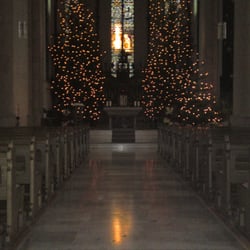 St. Petri