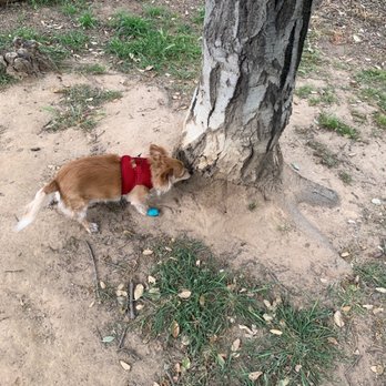 Paso Nogal Park - Sniff sniff - Dog Parks Near Me - Pleasant Hill, California