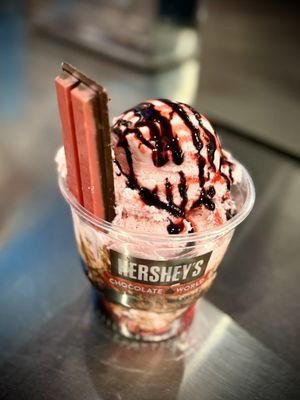 Hershey's Chocolate World by null