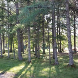 Camping De La Plage Margo - Terrain pour les tentes