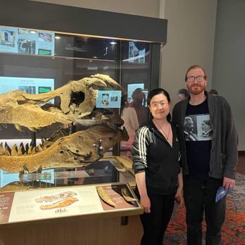 Field Museum - With Sue the T-Rex's skull. - Museums Near Me - Chicago, Illinois