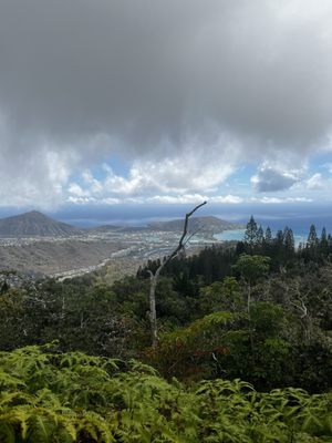 Kuli'ou'ou Valley Trail by null