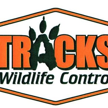 Tracks Wildlife Control - untitled - Pest Control Near Me - Beaufort, South Carolina Tracks Wildlife Control - untitled - Pest Control Near Me - Beaufort, South Carolina