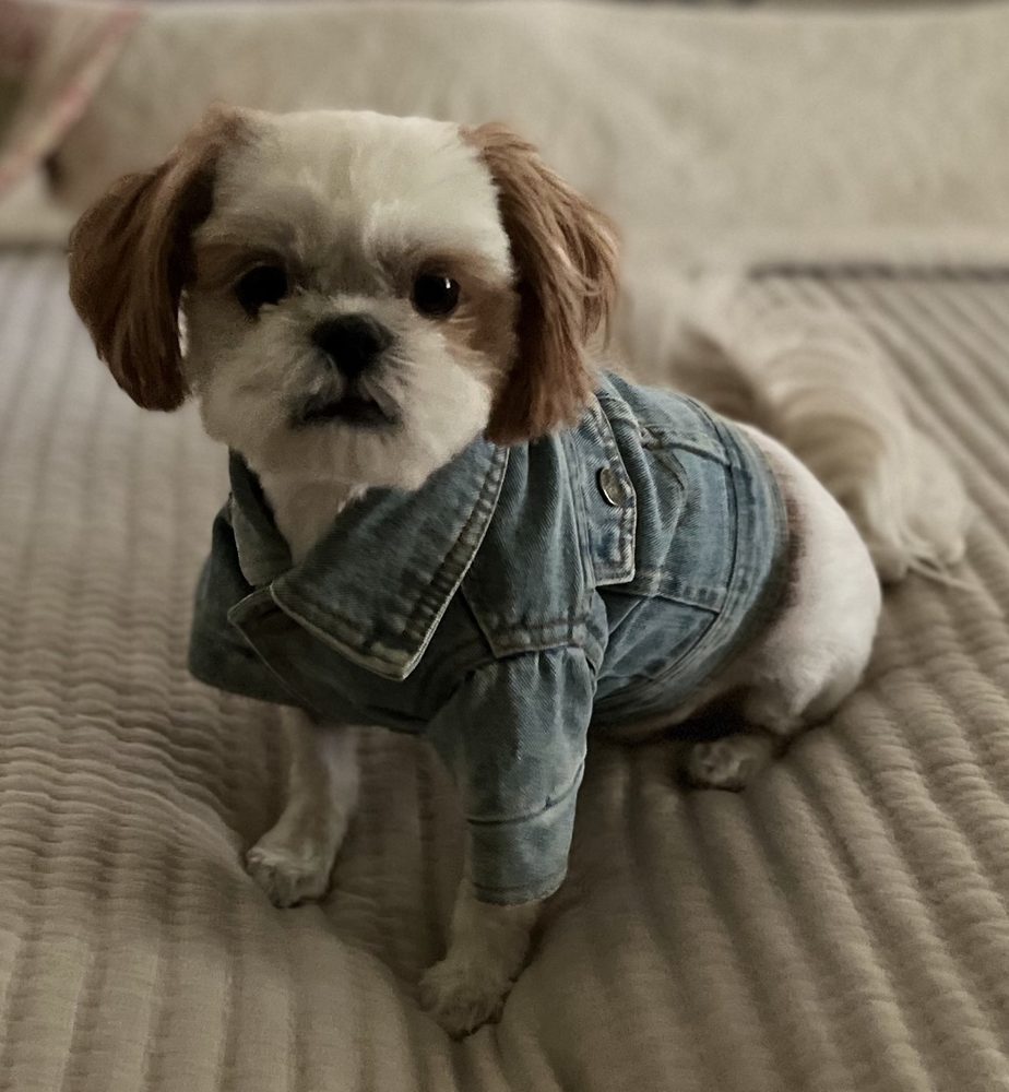 Woof Gang Bakery & Grooming Suntree Image