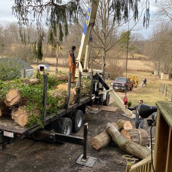 A-1 Tree & Mulch - Removing ash tree - Tree Services Near Me - Phoenix, Maryland A-1 Tree & Mulch - Removing ash tree - Tree Services Near Me - Phoenix, Maryland