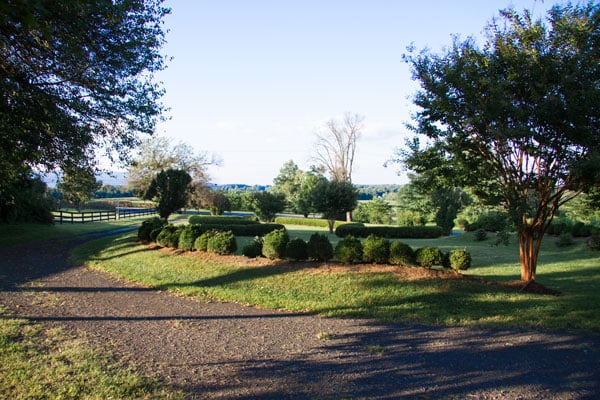 Buchanan Hall by null