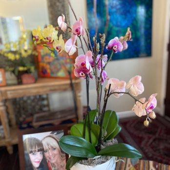 Rambling Rose Florist - Another stunning creation by Linda. - Florists Near Me Rambling Rose Florist - Another stunning creation by Linda. - Florists Near Me