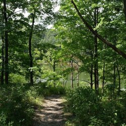 Frear Park - On the way down to the lower lake from inside the park .. it's peaceful and you forget you're in the city
