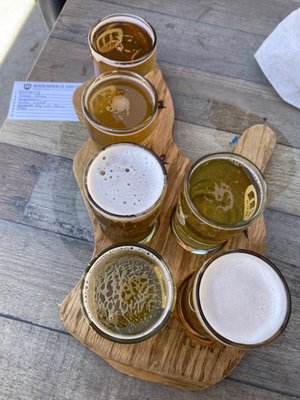 Metazoa Brewing Company by null