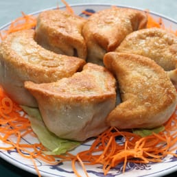 Fried Dumplings
