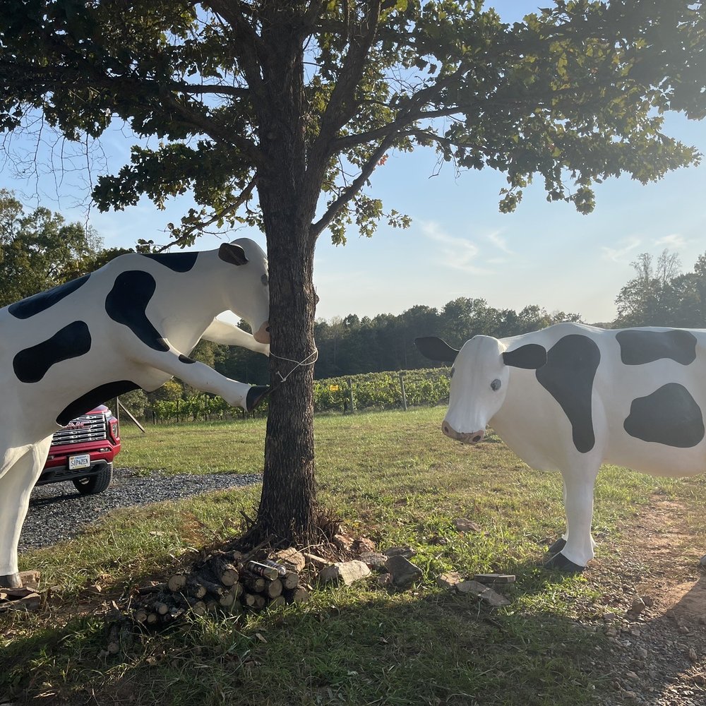 Eagle Zen Winery - Fun decorations! - Wineries Near Me - Dillwyn, Virginia
