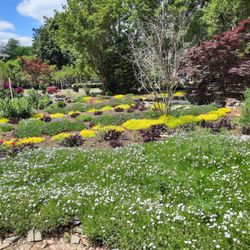 Sunburst Nursery and Landscape